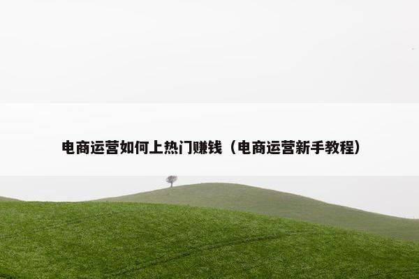 电商运营如何上热门赚钱(电商运营新手教程)