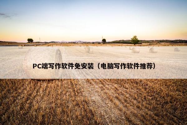 PC端写作软件免安装(电脑写作软件推荐)