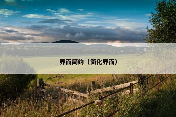 界面简约(简化界面) 界面简约(简化界面)