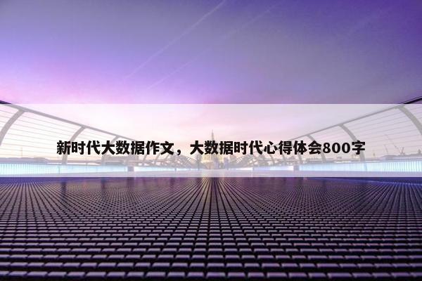 新时代大数据作文,大数据时代心得体会800字