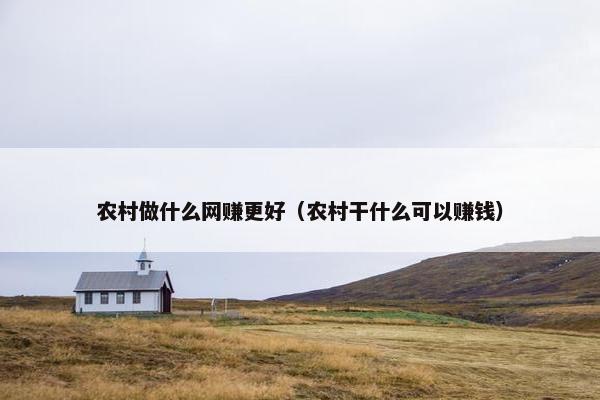 农村做什么网赚更好(农村干什么可以赚钱)