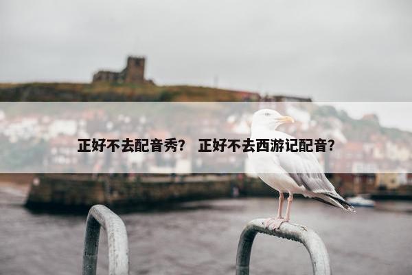 正好不去配音秀？ 正好不去西游记配音？