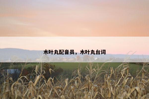 木叶丸配音员，木叶丸台词