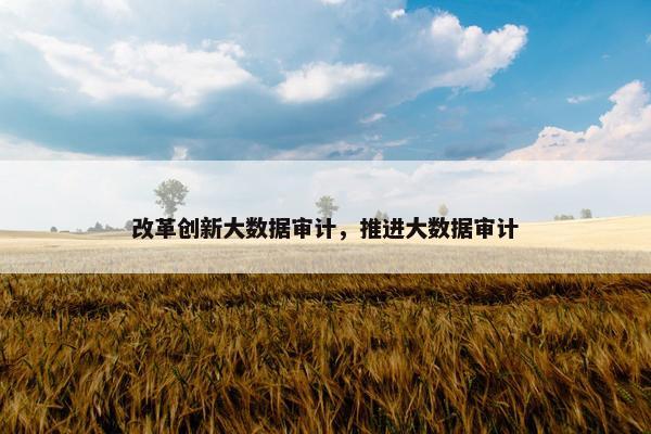 改革创新大数据审计,推进大数据审计