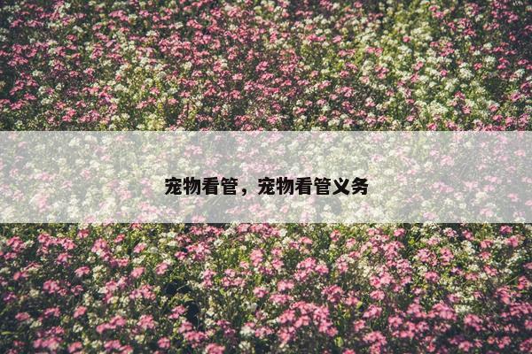 宠物看管，宠物看管义务