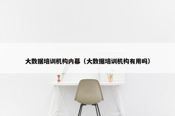 大数据培训机构内幕（大数据培训机构有用吗）