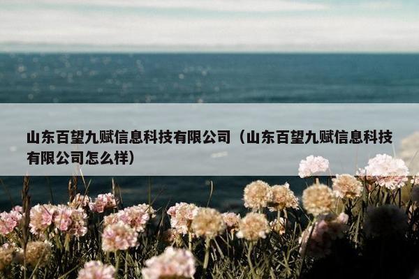 山东百望九赋信息科技有限公司(山东百望九赋信息科技有限公司怎么样)