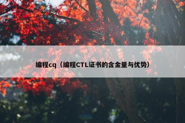 编程cq（编程CTL证书的含金量与优势）