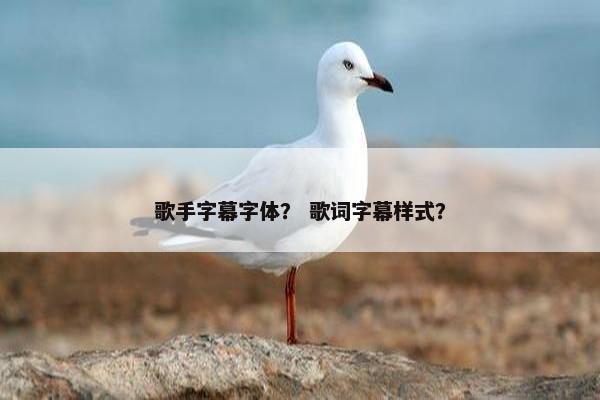 歌手字幕字体? 歌词字幕样式?