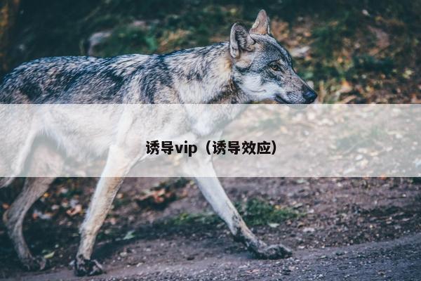 诱导vip(诱导效应)