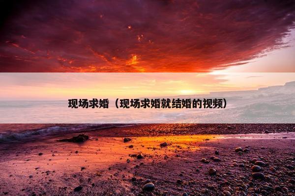 现场求婚（现场求婚就结婚的视频）