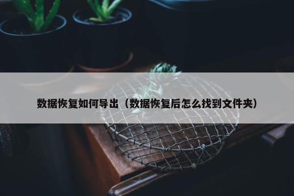 数据恢复如何导出(数据恢复后怎么找到文件夹)