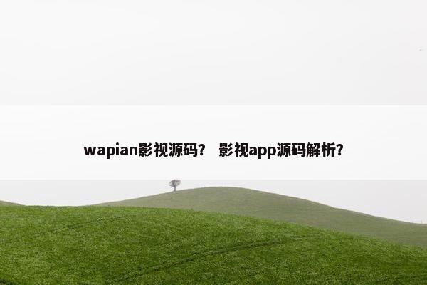 wapian影视源码？ 影视app源码解析？