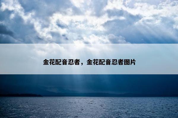 金花配音忍者,金花配音忍者图片 金花配音忍者,金花配音忍者图片