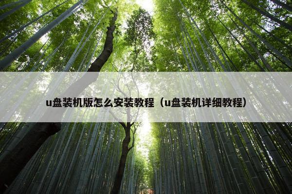 u盘装机版怎么安装教程(u盘装机详细教程)