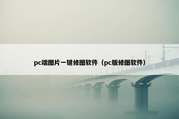 pc端图片一键修图软件(pc版修图软件)