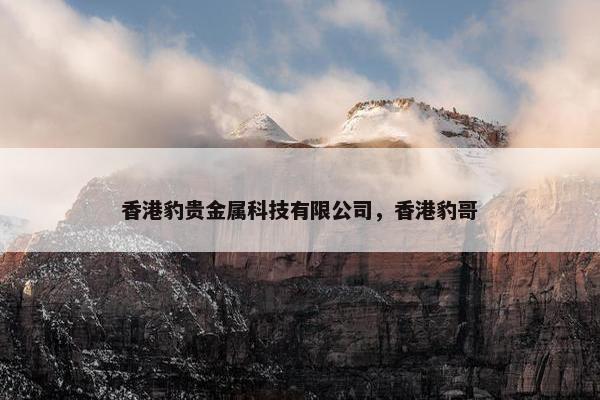 香港豹贵金属科技有限公司，香港豹哥