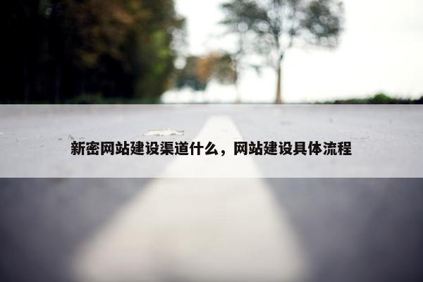 新密网站建设渠道什么,网站建设具体流程