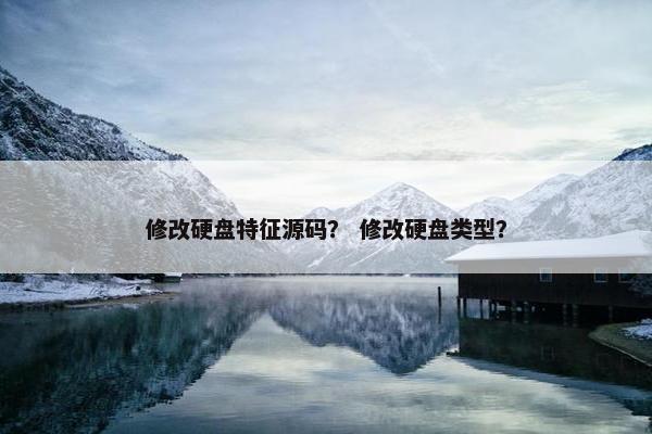 修改硬盘特征源码? 修改硬盘类型?
