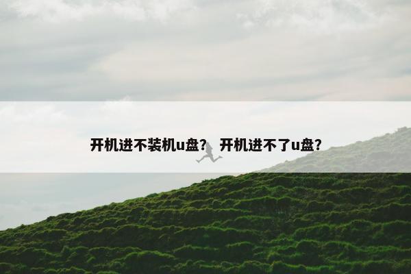 开机进不装机u盘？ 开机进不了u盘？