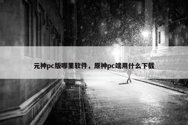 元神pc版哪里软件，原神pc端用什么下载