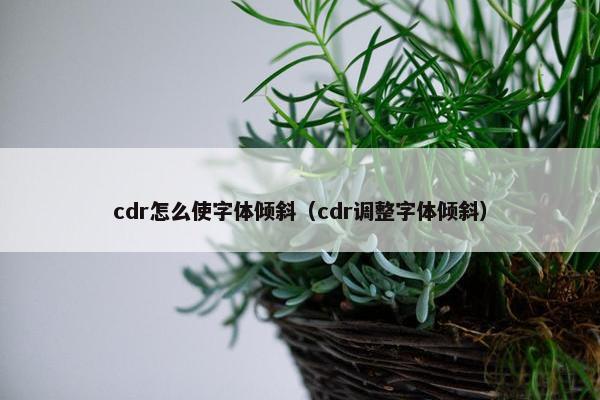 cdr怎么使字体倾斜（cdr调整字体倾斜）