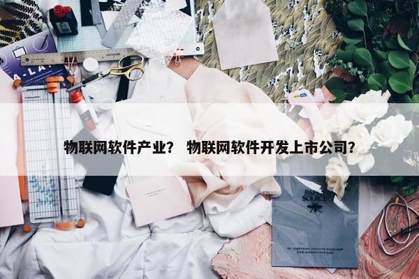 物联网软件产业？ 物联网软件开发上市公司？