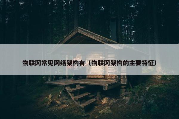 物联网常见网络架构有（物联网架构的主要特征）