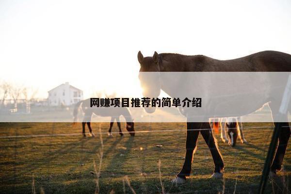 网赚项目推荐的简单介绍