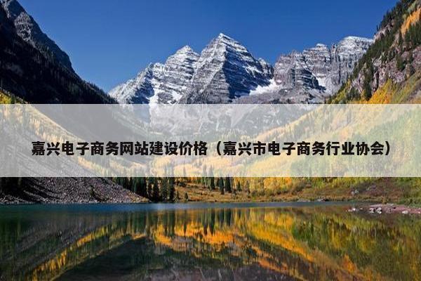 嘉兴电子商务网站建设价格（嘉兴市电子商务行业协会）