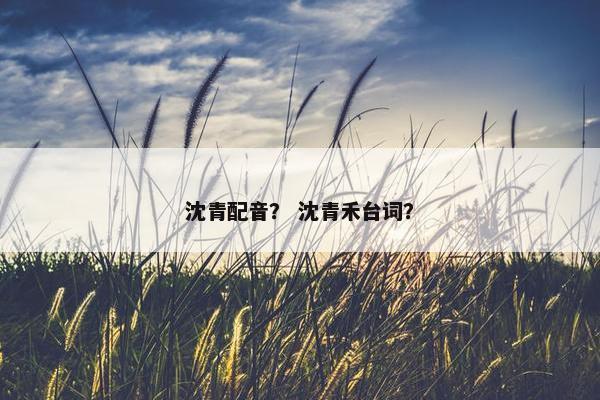 沈青配音？ 沈青禾台词？