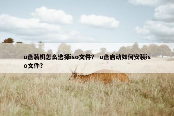 u盘装机怎么选择iso文件？ u盘启动如何安装iso文件？