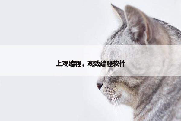 上观编程，观致编程软件