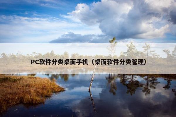 PC软件分类桌面手机（桌面软件分类管理）