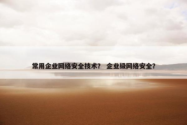 常用企业网络安全技术？ 企业级网络安全？