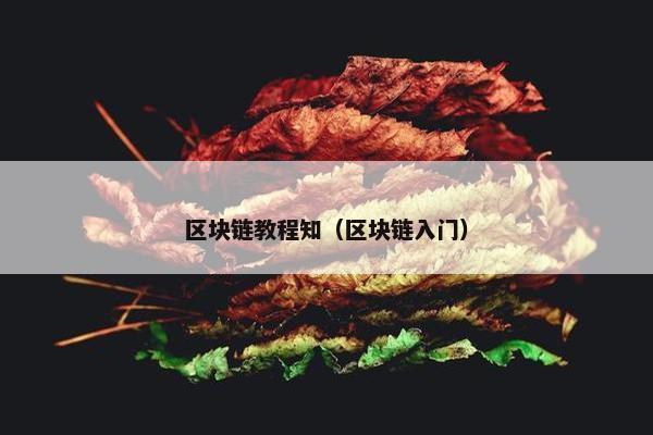 区块链教程知(区块链入门)