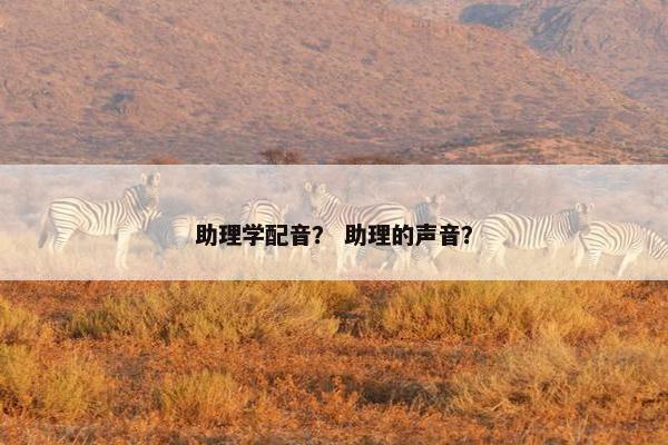 助理学配音? 助理的声音?