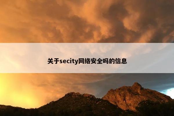 关于secity网络安全吗的信息