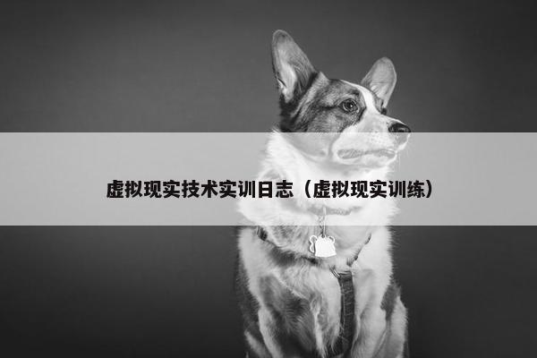 虚拟现实技术实训日志（虚拟现实训练）