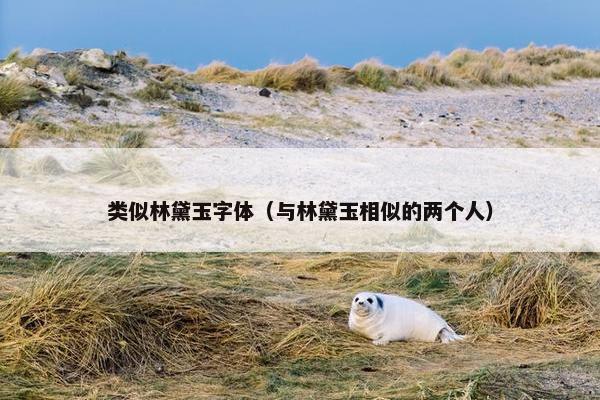 类似林黛玉字体（与林黛玉相似的两个人）