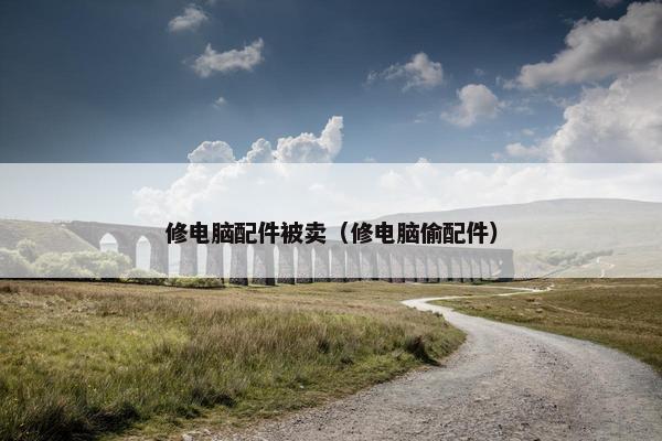修电脑配件被卖（修电脑偷配件）