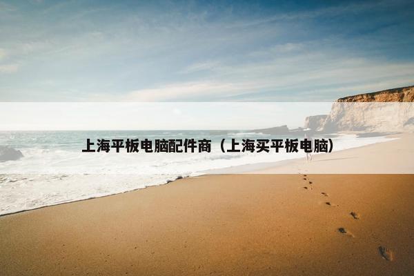 上海平板电脑配件商(上海买平板电脑)