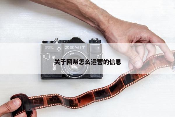 关于网赚怎么运营的信息
