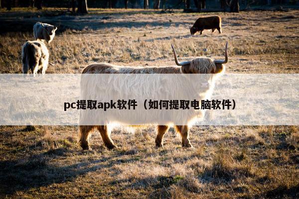 pc提取apk软件(如何提取电脑软件) pc提取apk软件(如何提取电脑软件)