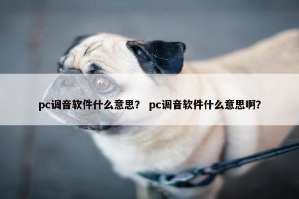 pc调音软件什么意思？ pc调音软件什么意思啊？