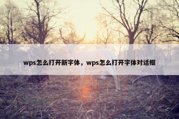 wps怎么打开新字体,wps怎么打开字体对话框