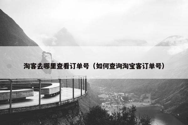 淘客去哪里查看订单号(如何查询淘宝客订单号)