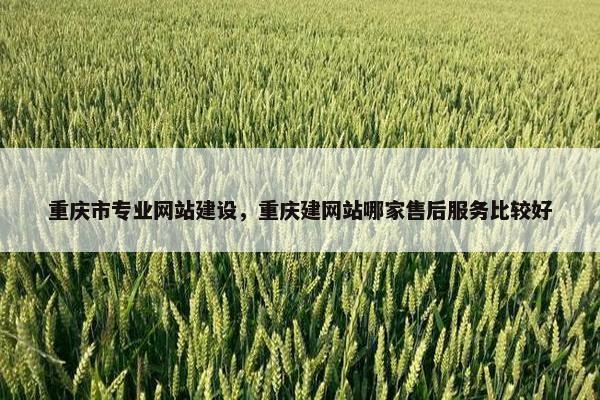 重庆市专业网站建设，重庆建网站哪家售后服务比较好
