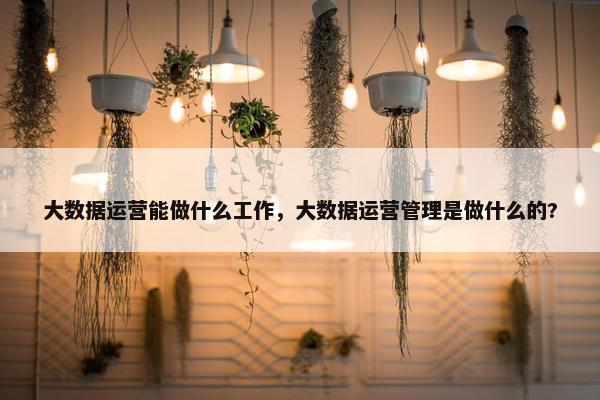 大数据运营能做什么工作,大数据运营管理是做什么的?