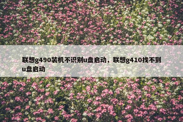 联想g490装机不识别u盘启动,联想g410找不到u盘启动